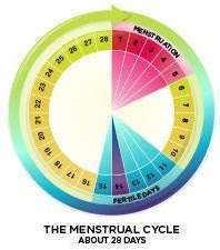 T1D and the menstrual cycle - I Challenge Diabetes