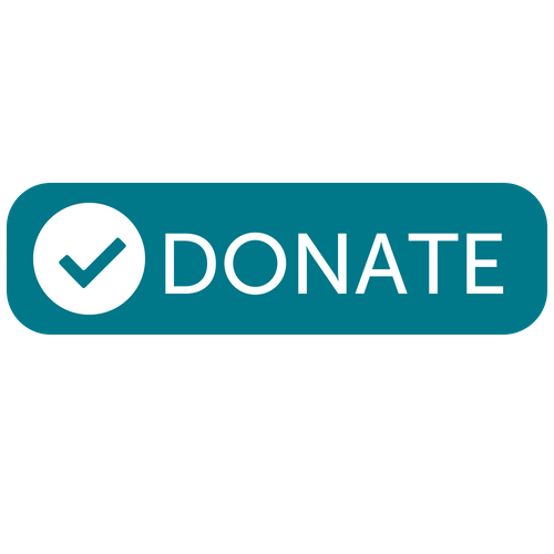 Image result for donate button