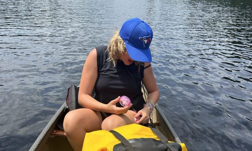 Algonquin Tandem Site Insertion in Kayak